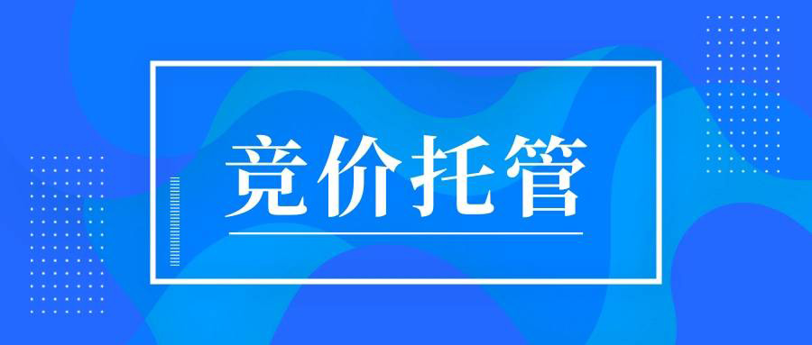 专业竞价账户托管：有效提升网站咨询率的策略与实践